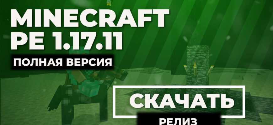 Скачать Minecraft PE 1.17.11 релиз полная версия
